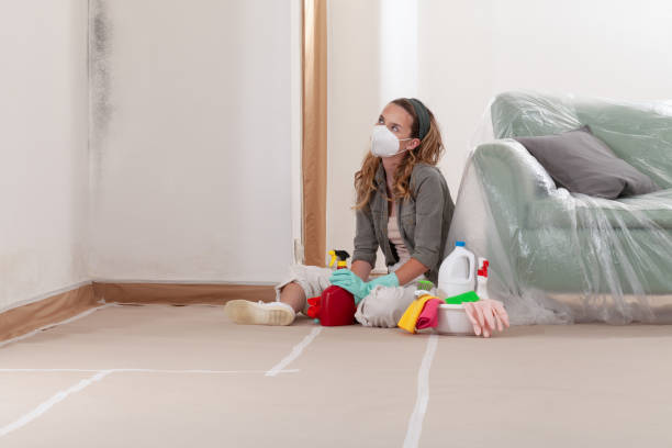 Reliable Mold Remediation contractor in Bridgewater, NJ by WQB Mold Removal
